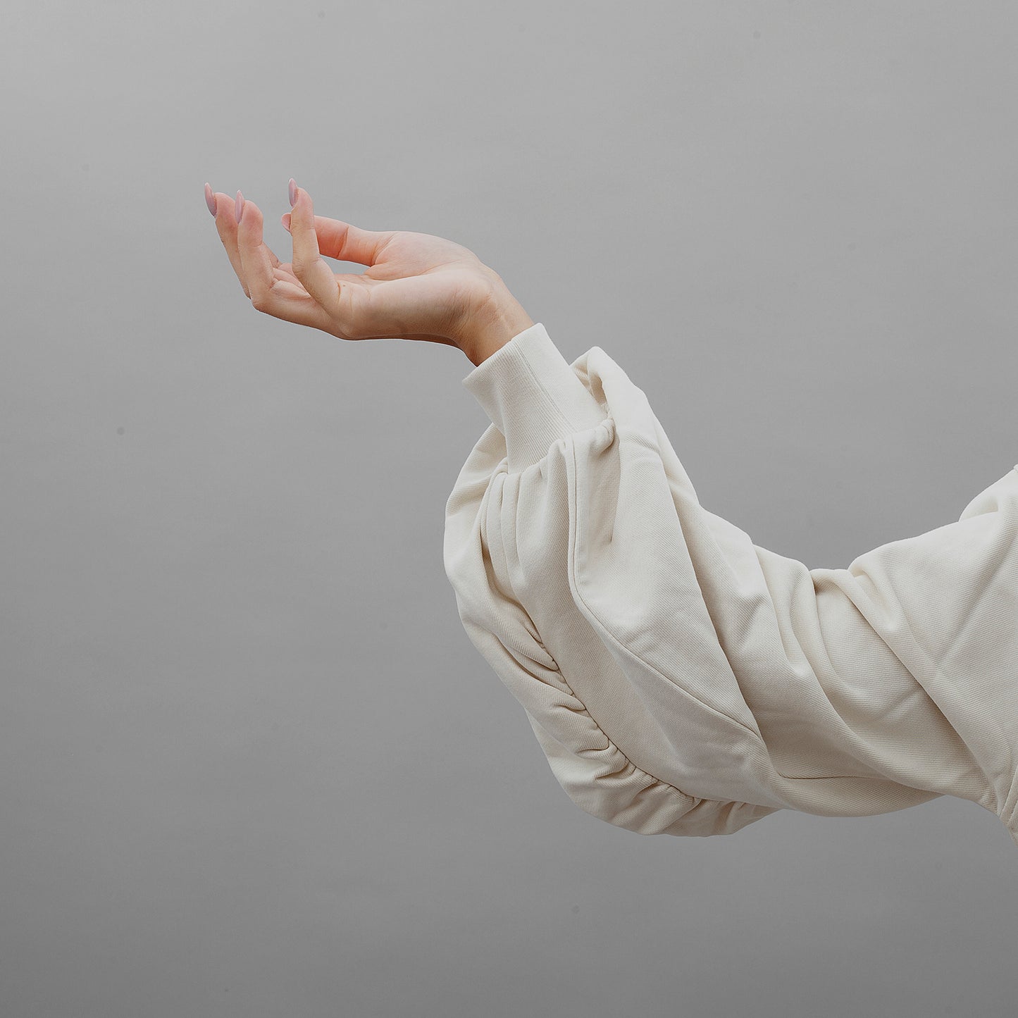 Felpa Ceresole Logo Birds 102827 PINKO donna ai